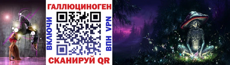 Купить закладки  Сураж  Псилоцибиновые грибы MAGIC MUSHROOMS 